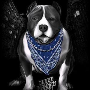 Meet your Posher, Jefferson